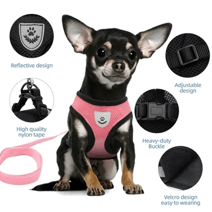 Adjustable Mesh Cat and Small Dog Harness with Leash