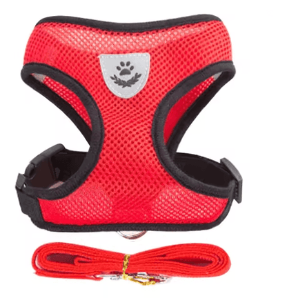 Adjustable Mesh Cat and Small Dog Harness with Leash