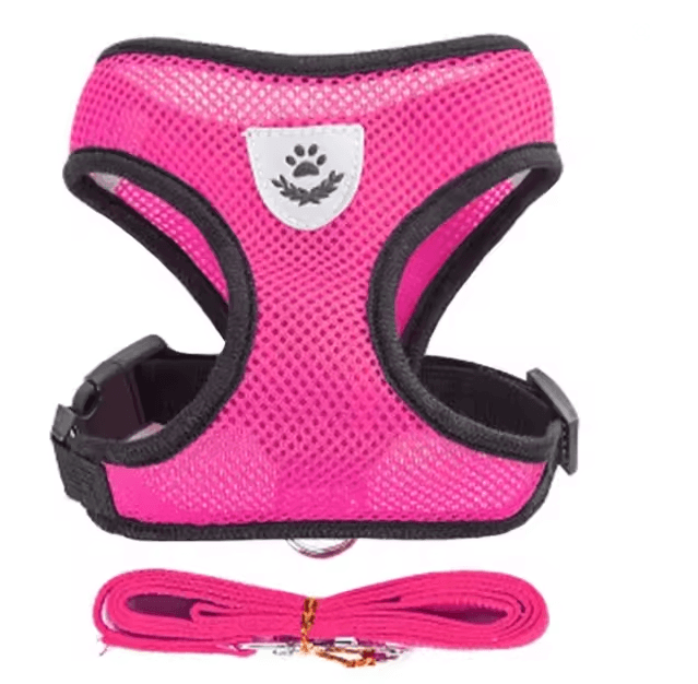 Adjustable Mesh Cat and Small Dog Harness with Leash