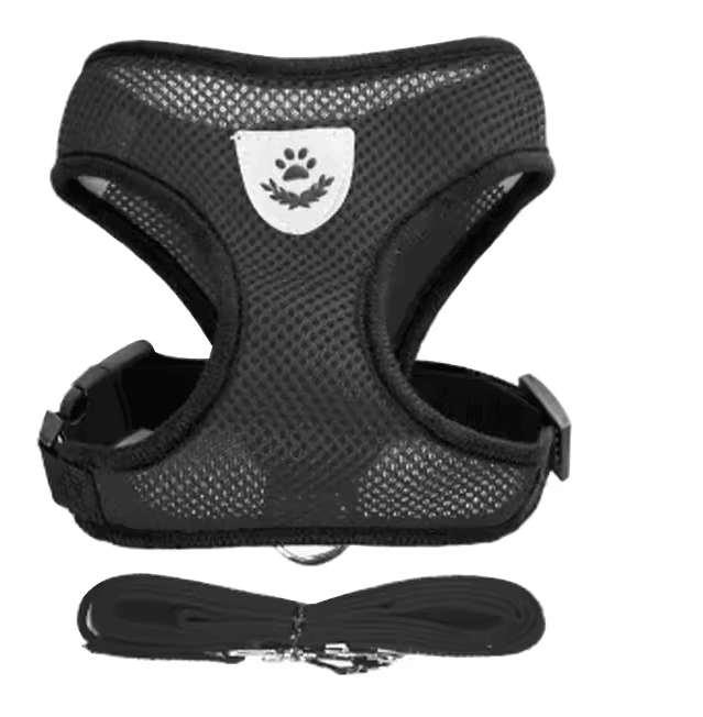 Adjustable Mesh Cat and Small Dog Harness with Leash