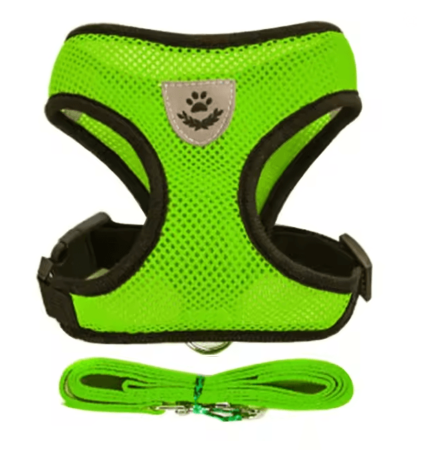 Adjustable Mesh Cat and Small Dog Harness with Leash