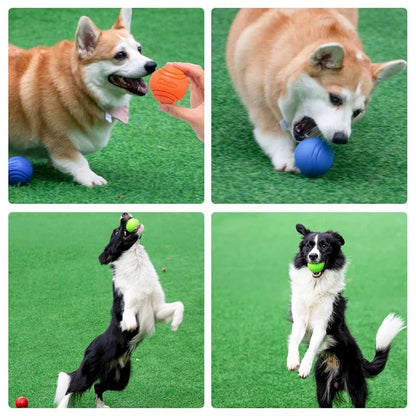 Dog Rubber Ball Toy Bite Resistant Ball for Active Dogs