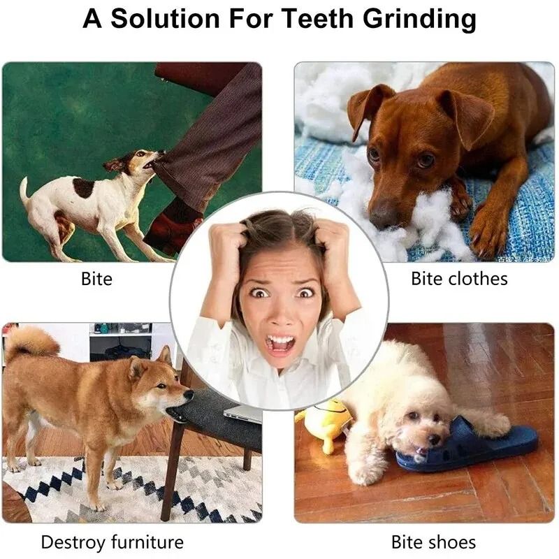 Dog Pet Food Treat Feeder Chew Tooth Cleaning Ball