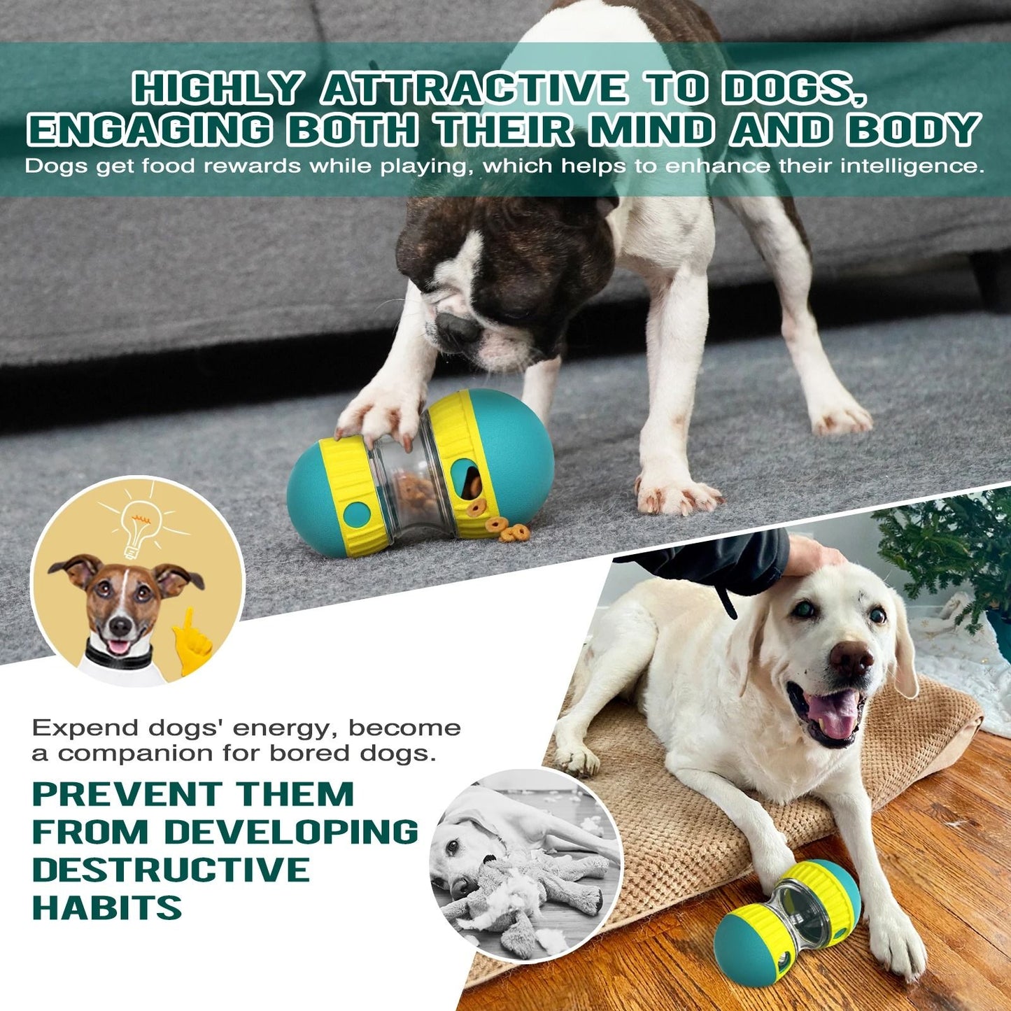 Treat Enrichment Pet Toy Slow Feeder Ball for Dogs