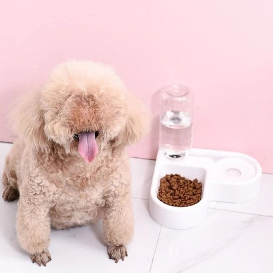 Pet Feeding Station with Double Bowls and Water Dispenser