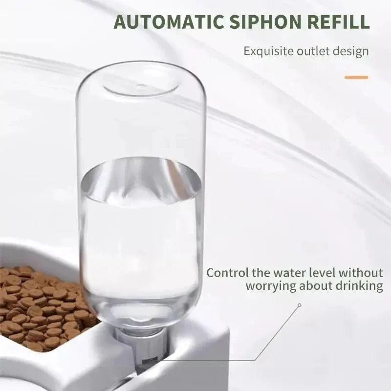 Pet Feeding Station with Double Bowls and Water Dispenser