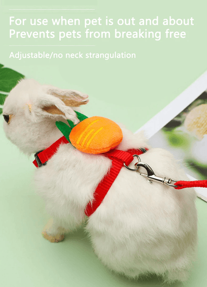 Rabbit and Small Pet Harness and Leash Set for Outdoor Walking