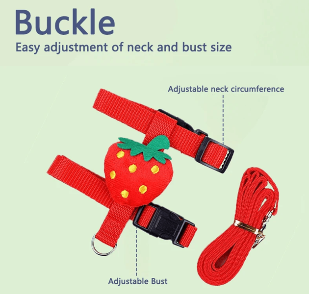 Rabbit and Small Pet Harness and Leash Set for Outdoor Walking
