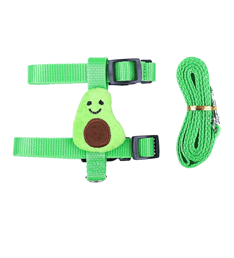 Rabbit and Small Pet Harness and Leash Set for Outdoor Walking