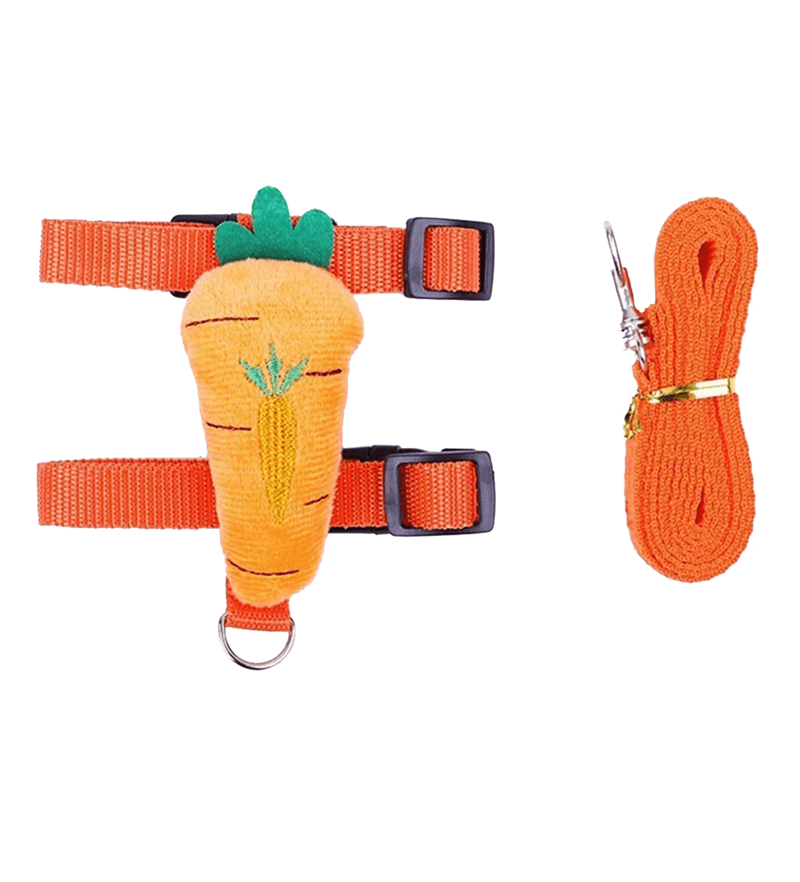 Rabbit and Small Pet Harness and Leash Set for Outdoor Walking