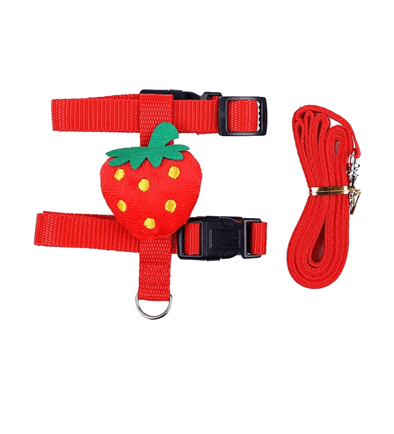 Rabbit and Small Pet Harness and Leash Set for Outdoor Walking
