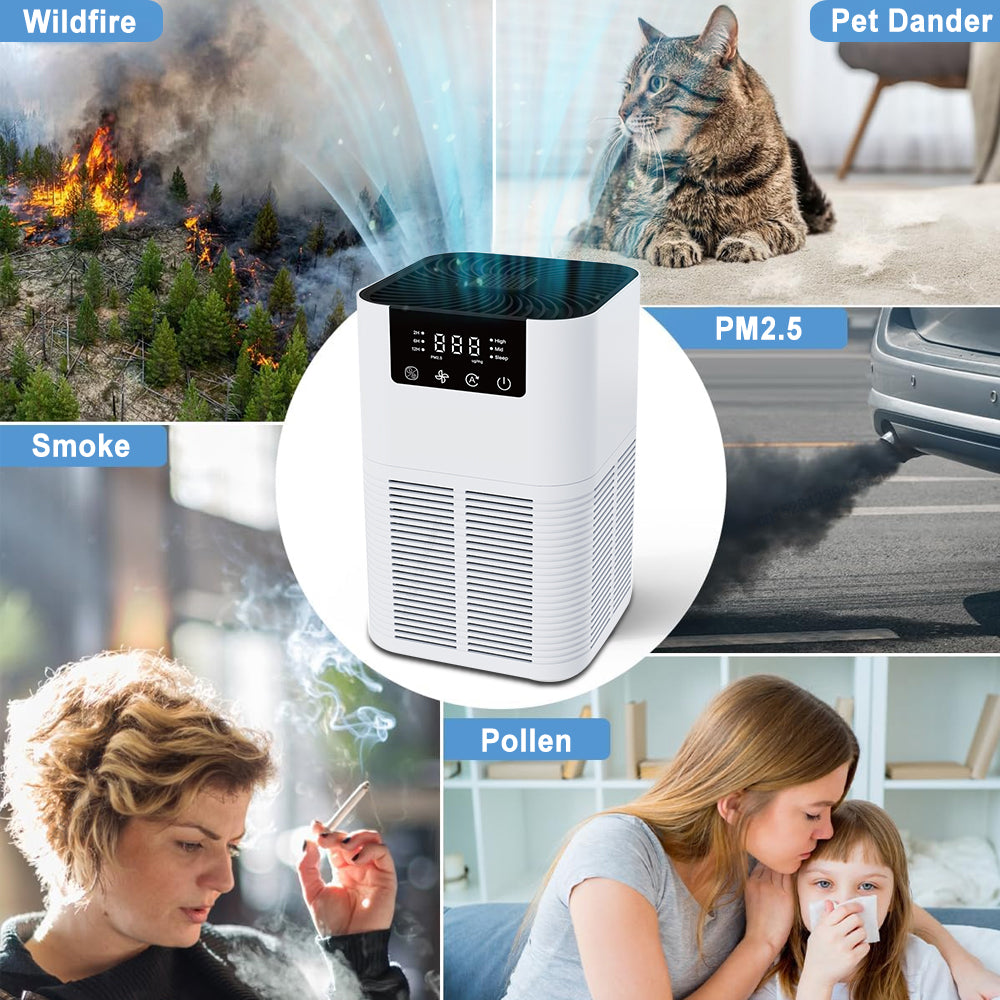 Air Purifier Smoke Odor Cleaner with HEPA Filter, Negative Ion Generator, Efficient Household Air Purifying Aromatherapy
