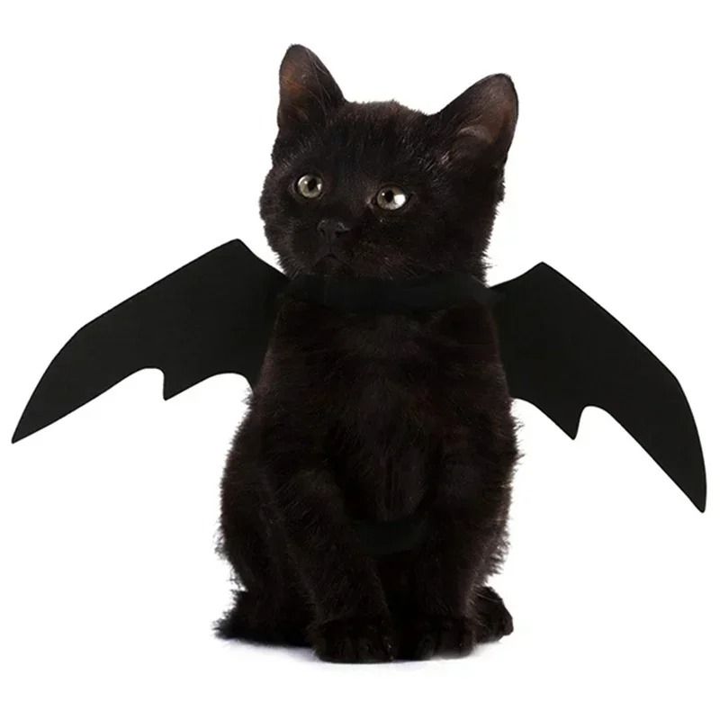 Cute Pet Bat Wings Costume for Cats and Dogs