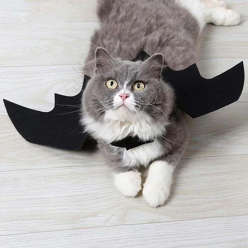 Cute Pet Bat Wings Costume for Cats and Dogs