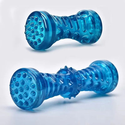 Dog Chew Toy Bite Resistant Toothbrush Bone for Interactive Play