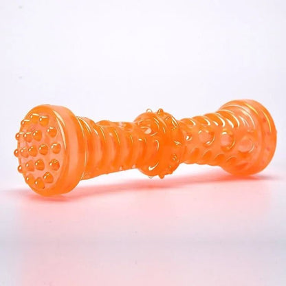 Dog Chew Toy Bite Resistant Toothbrush Bone for Interactive Play