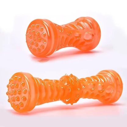 Dog Chew Toy Bite Resistant Toothbrush Bone for Interactive Play