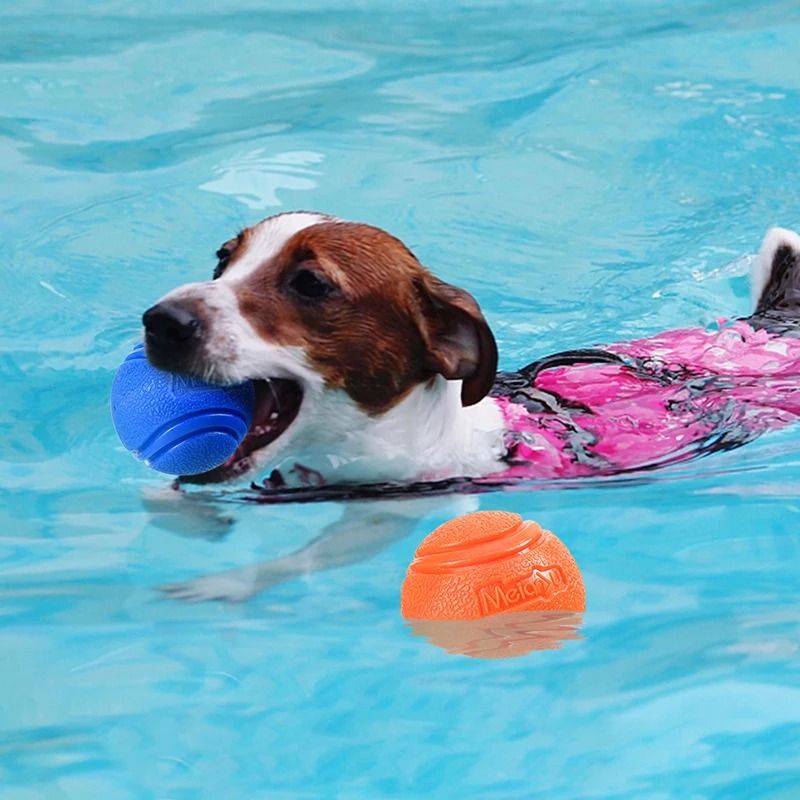 Durable Rubber Dog Toy Ball for Chewing and Play
