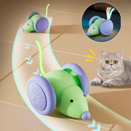 Keep your cat active and entertained with this interactive electric mouse car toy designed to stimulate natural hunting