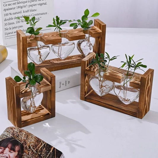 Transparent Heart Shaped Glass Vase with Wooden Frame for Hydroponic Plant Propagation