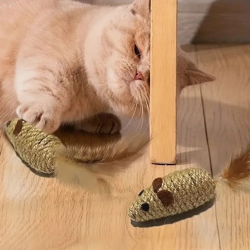 Premium 2-Pack Interactive Feather Mouse Cat Chew Toys