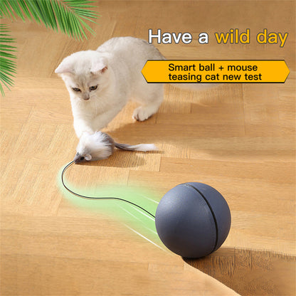 Battery-Powered Interactive Cat Toy Ball with Tracking Mouse - Automatic Rolling Teaser for Cats of All Breeds