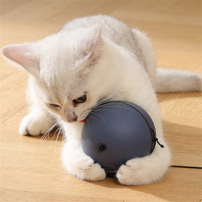 Battery-Powered Interactive Cat Toy Ball with Tracking Mouse - Automatic Rolling Teaser for Cats of All Breeds