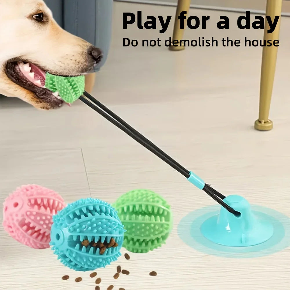 Durable Rubber Training Ball for Dogs, Interactive Suction Cup Toy, with Sound and Food Leakage