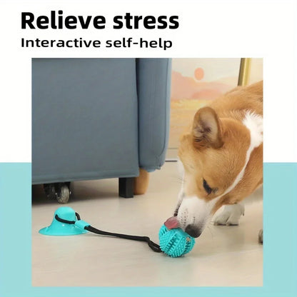 Durable Rubber Training Ball for Dogs, Interactive Suction Cup Toy, with Sound and Food Leakage