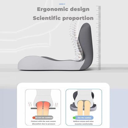 Premium Ergonomic Seat Cushion with Back Support - All-Day Comfort Pad for Office Chairs & Work From Home