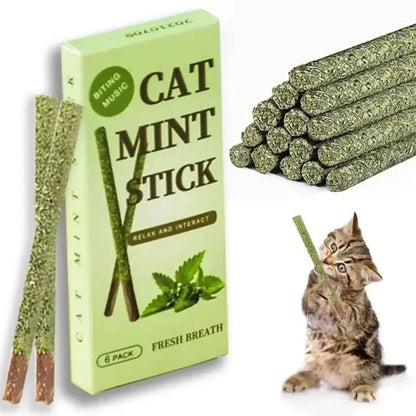 Natural Silvervine Cat Sticks for Teeth Cleaning Chewing and Play Stimulation