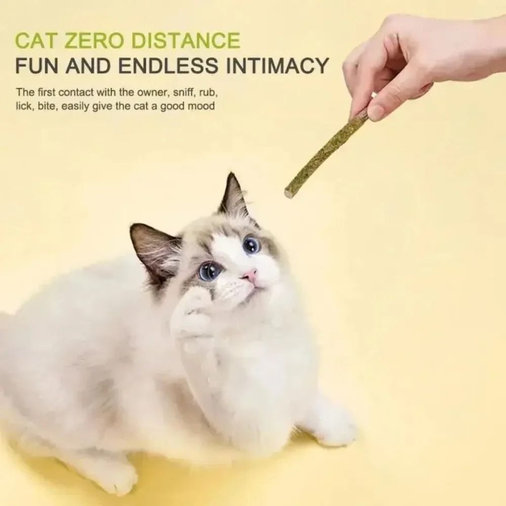 Natural Silvervine Cat Sticks for Teeth Cleaning Chewing and Play Stimulation