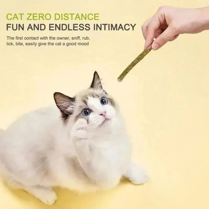 Natural Silvervine Cat Sticks for Teeth Cleaning Chewing and Play Stimulation