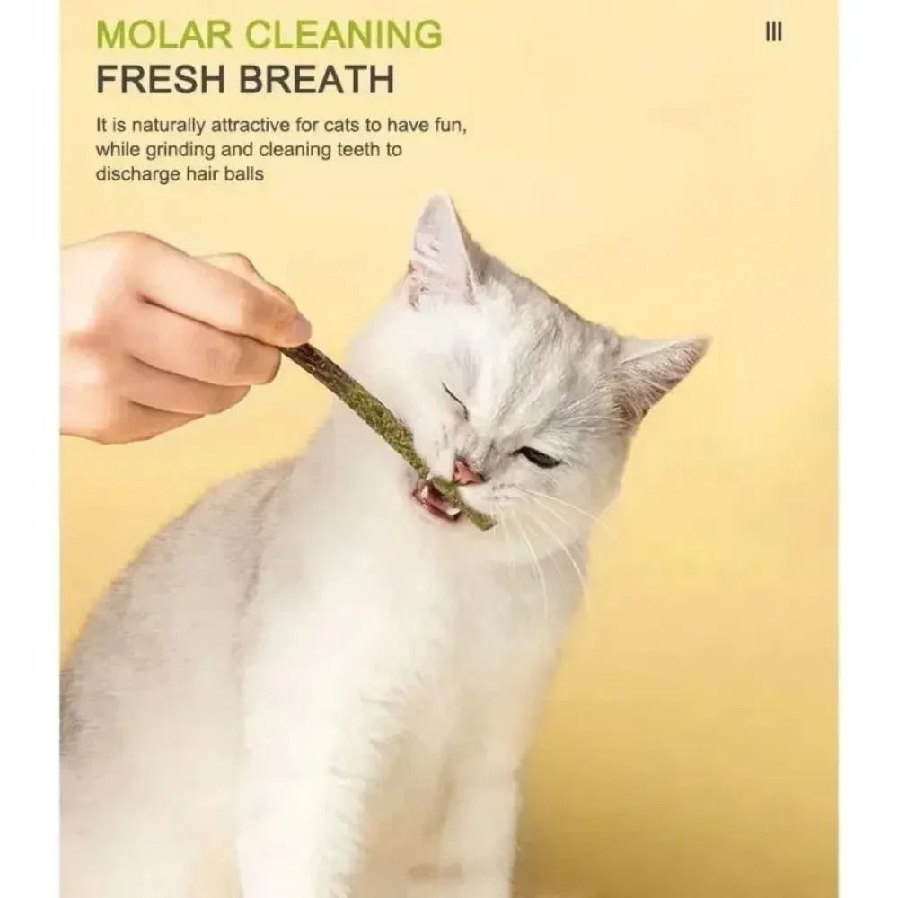 Natural Silvervine Cat Sticks for Teeth Cleaning Chewing and Play Stimulation