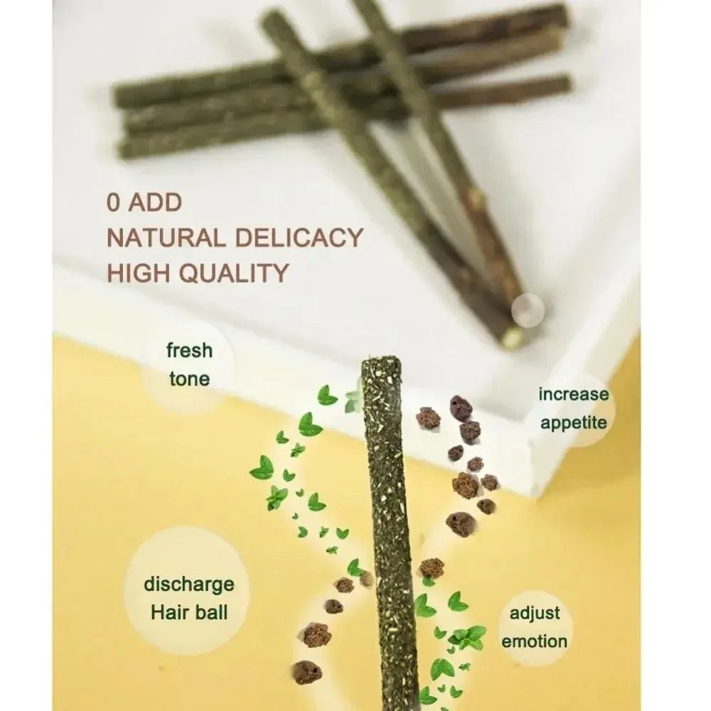 Natural Silvervine Cat Sticks for Teeth Cleaning Chewing and Play Stimulation