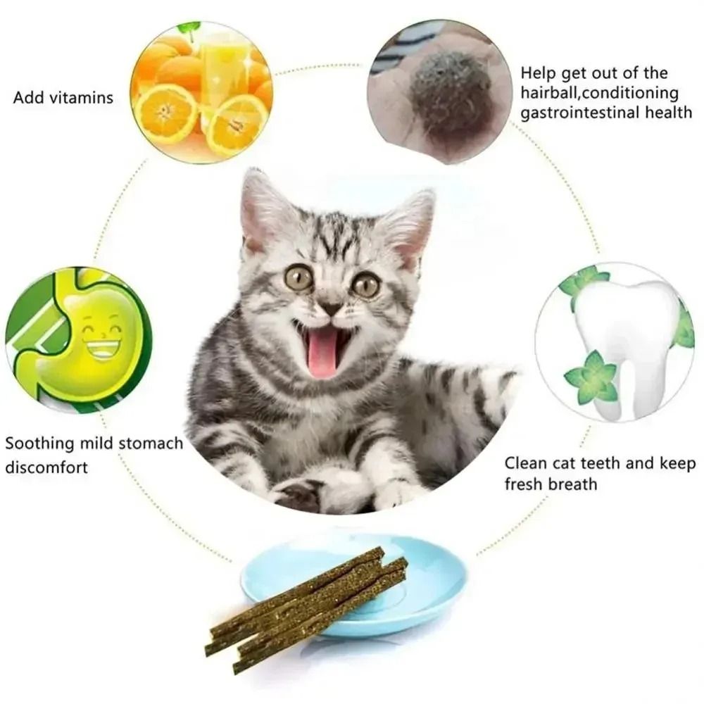 Natural Silvervine Cat Sticks for Teeth Cleaning Chewing and Play Stimulation