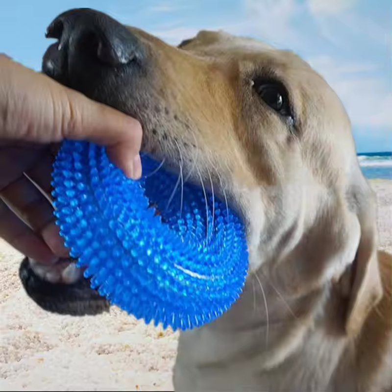 Natural TPR Rubber Dog Chew Toy Interactive Squeaky Thorn Ring for Puppy Teeth Cleaning and Grinding