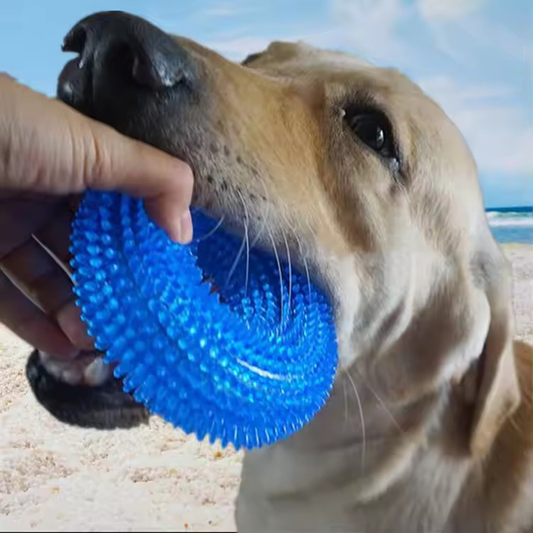 Natural TPR Rubber Dog Chew Toy Interactive Squeaky Thorn Ring for Puppy Teeth Cleaning and Grinding