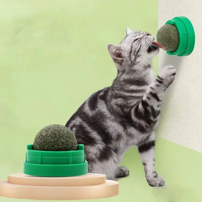 Catnip Wall Stick On Ball Toy Natural Cat Treat and Digestive Aid