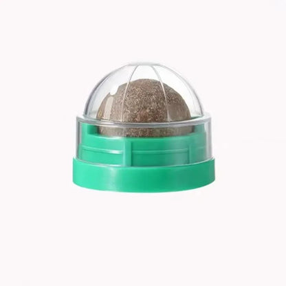 Catnip Wall Stick On Ball Toy Natural Cat Treat and Digestive Aid