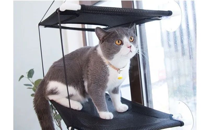 Cat Hammock Window Bed Hanging Sunny Seat with Strong Suction Cups Double Decker Design