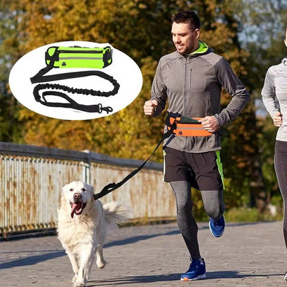 Hands Free Dog Leash for Running and Walking with Reflective Waist Bag and Elastic Belt