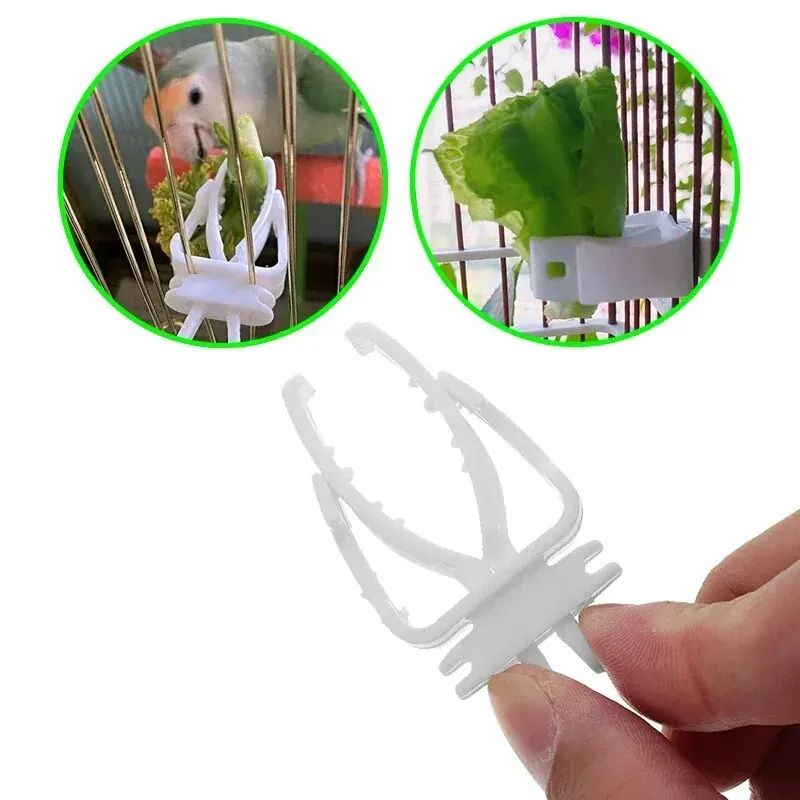 Bird Food Holder Clip Parrot Fruit and Vegetable Feeder for Small Pet Cages