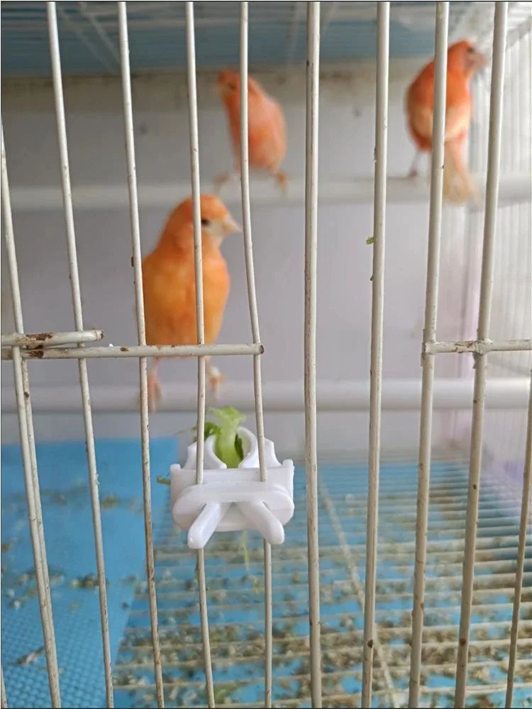 Bird Food Holder Clip Parrot Fruit and Vegetable Feeder for Small Pet Cages