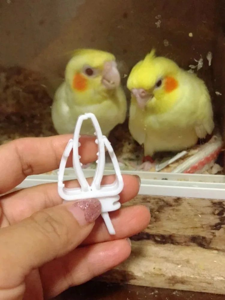 Bird Food Holder Clip Parrot Fruit and Vegetable Feeder for Small Pet Cages