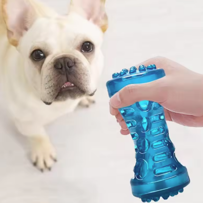 Sturdy Bite Resistant Dog Toy Toothbrush Bone, Interactive Chew Dental Care for Small Medium Large Dogs Puppy Training