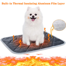 Pet Bedding & Carriers