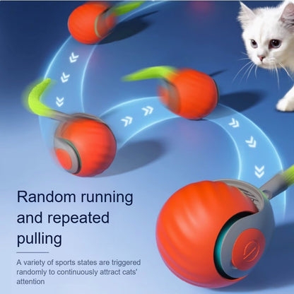 Cats Interactive Ball Toys, Automatic Rolling Ball with Faux Tail, Smart Electric Pet Toy for Teaser and Training
