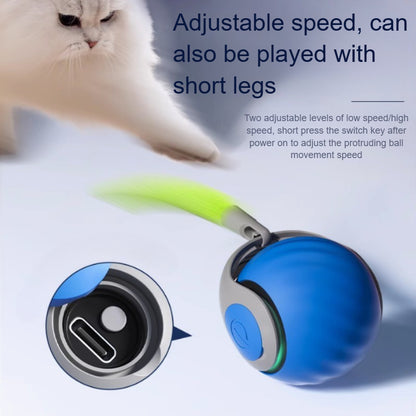 Cats Interactive Ball Toys, Automatic Rolling Ball with Faux Tail, Smart Electric Pet Toy for Teaser and Training