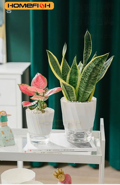 Self Watering Transparent Flower Pot